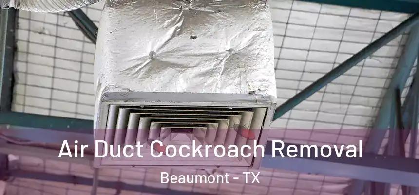 Air Duct Cockroach Removal Beaumont - TX