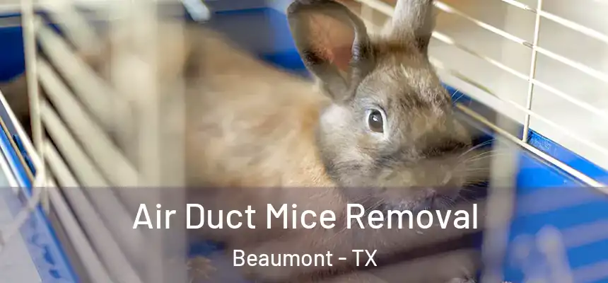 Air Duct Mice Removal Beaumont - TX