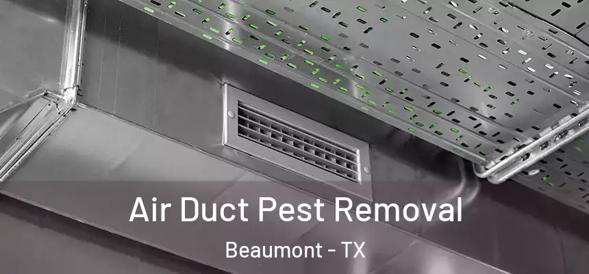 Air Duct Pest Removal Beaumont - TX