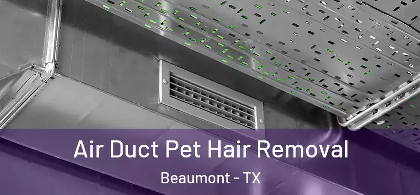Air Duct Pet Hair Removal Beaumont - TX