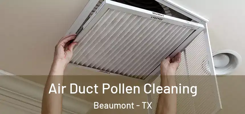 Air Duct Pollen Cleaning Beaumont - TX
