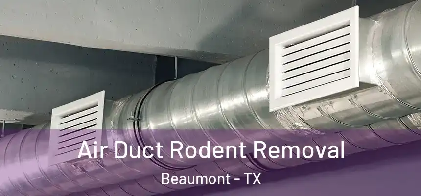 Air Duct Rodent Removal Beaumont - TX