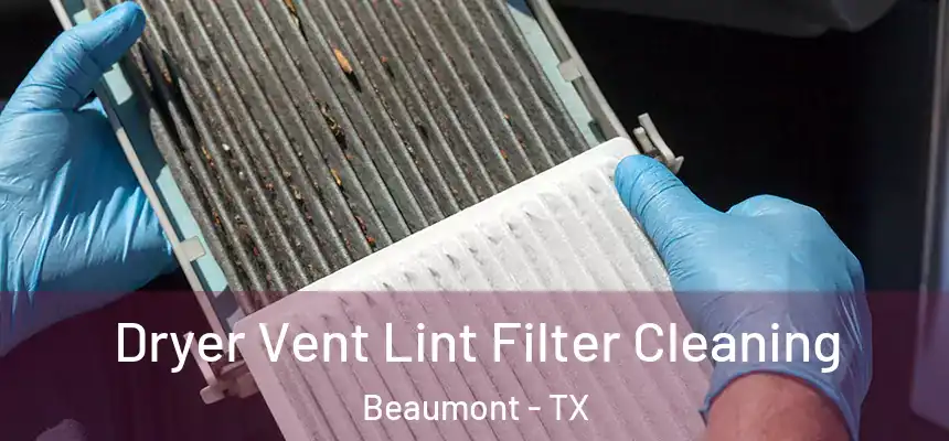 Dryer Vent Lint Filter Cleaning Beaumont - TX