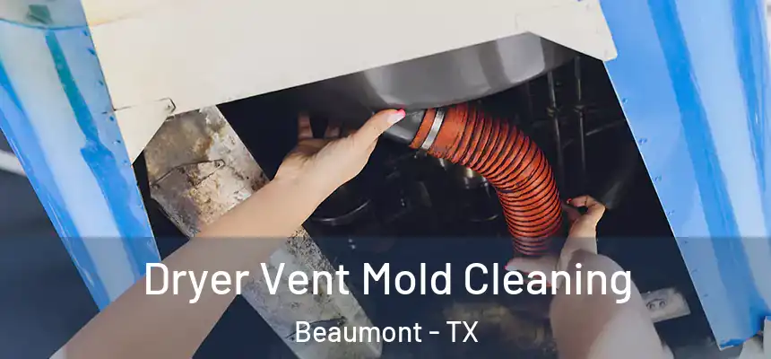 Dryer Vent Mold Cleaning Beaumont - TX