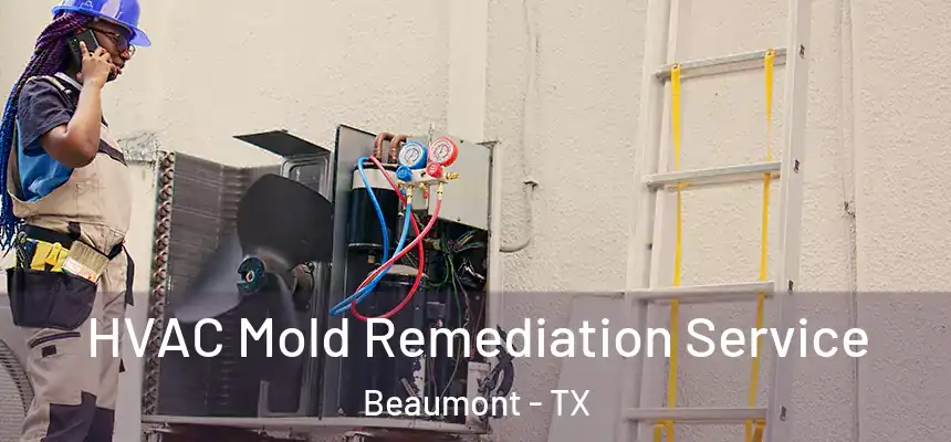 HVAC Mold Remediation Service Beaumont - TX