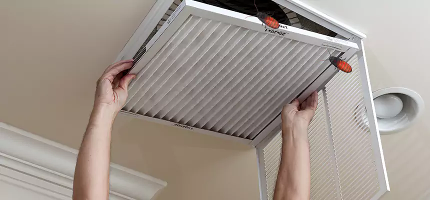 Preventive Cockroach-Proofing for Ducts in Beaumont