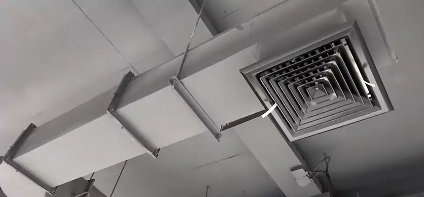 Our Pest Removal From Ducts Services in Beaumont, TX