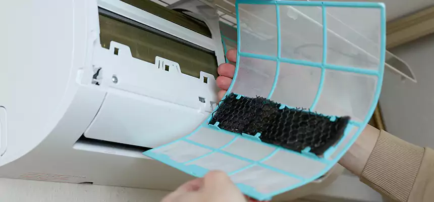 Gentle Ductwork Odor-Control Pet Dander Duct Cleaning in Beaumont, TX