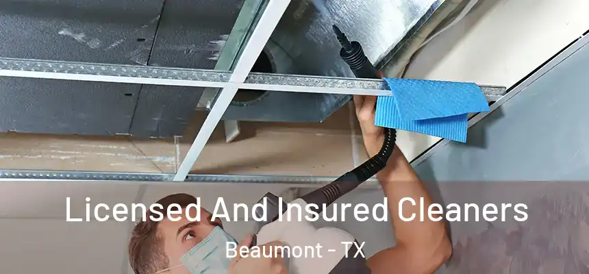 Licensed And Insured Cleaners Beaumont - TX