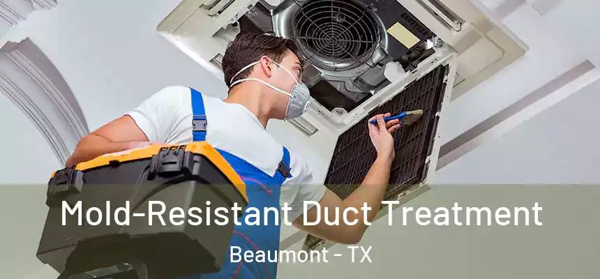 Mold-Resistant Duct Treatment Beaumont - TX