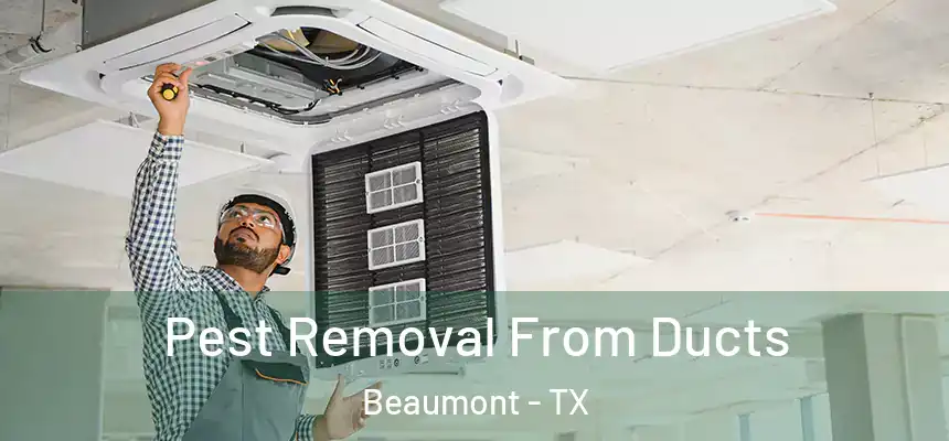 Pest Removal From Ducts Beaumont - TX