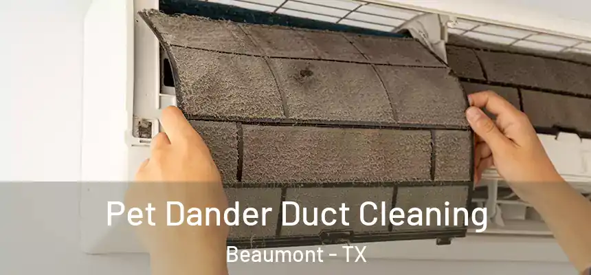 Pet Dander Duct Cleaning Beaumont - TX