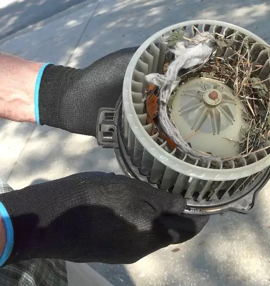 About Air Duct Rat Removal in Beaumont, TX