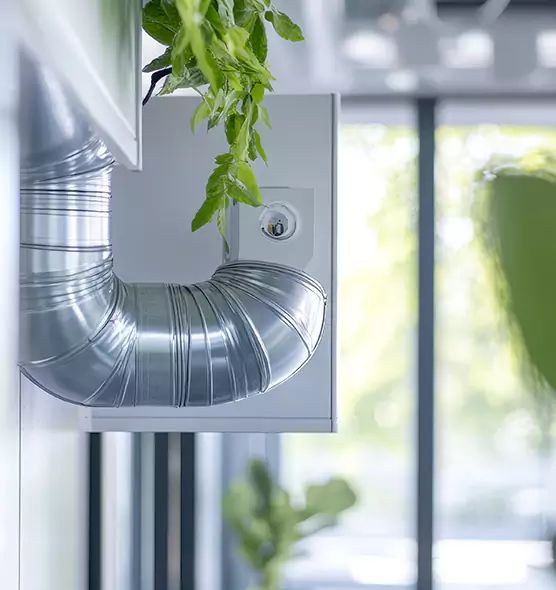 Professional Eco-Safe Dryer Vent Cleaning in Beaumont, TX