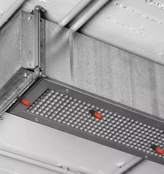 Affordable Insect Removal from Air Ducts in Beaumont, TX