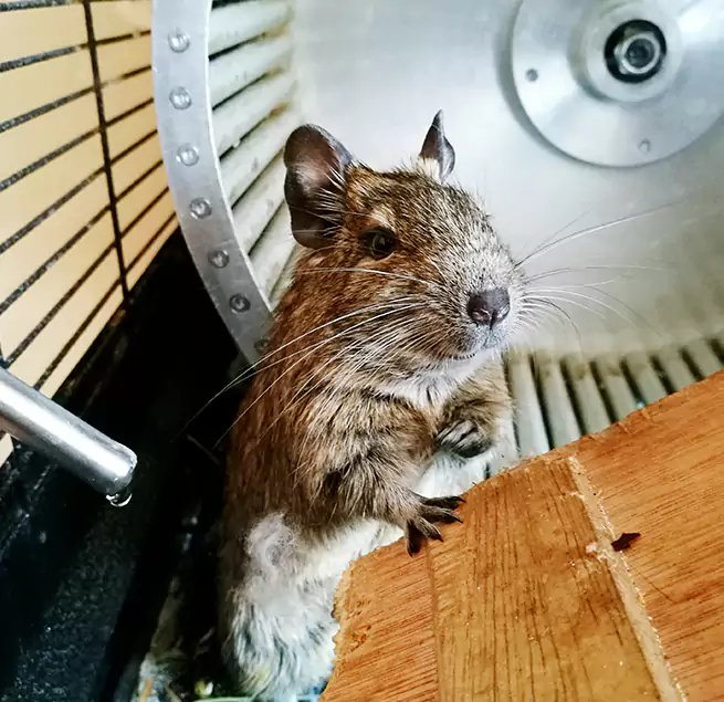 Why Homeowners & Businesses Trust Us Beaumont, TX