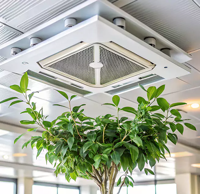 Why Homeowners & Businesses Trust Us in Beaumont, TX?