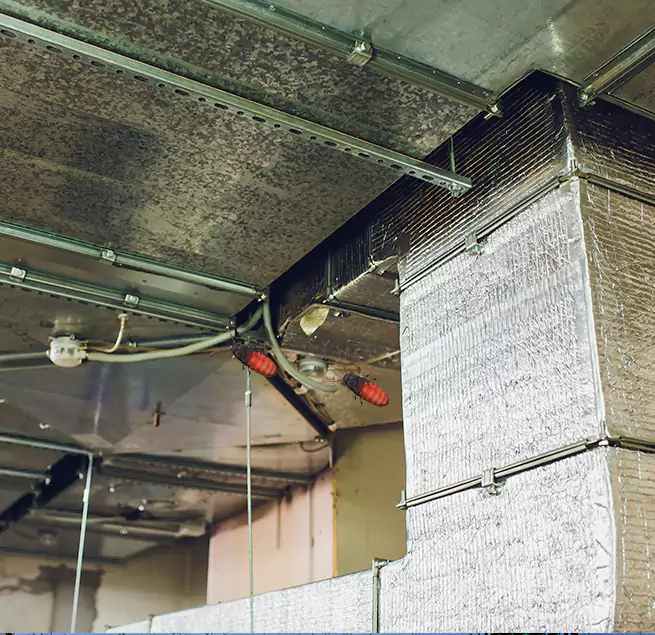 Why Homeowners & Businesses Trust Us Beaumont, TX?