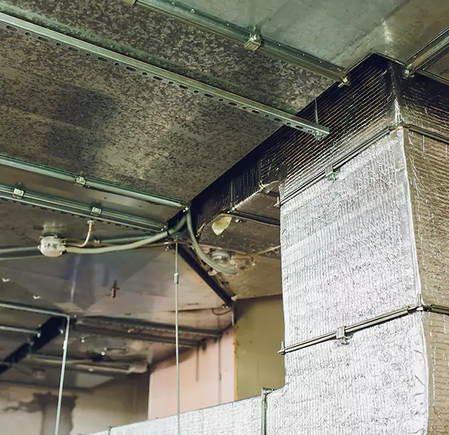 Why Homeowners & Businesses Trust Us in Beaumont, TX?